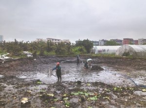 泉山河道鱼塘清淤